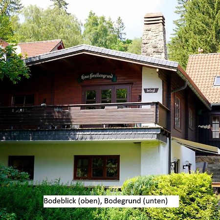 Ferienwohnungen Forellengrund Ширке Екстер'єр фото
